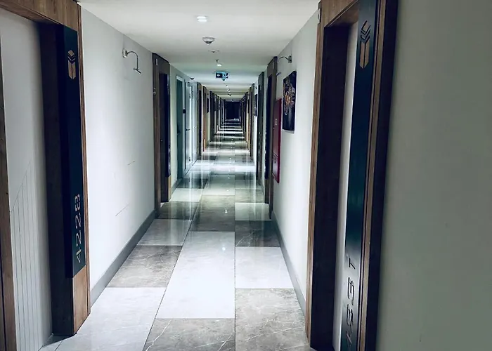 Apartamento Estudio